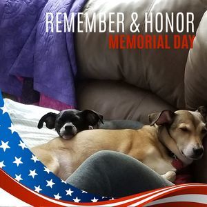 Meet your Posher, Karen